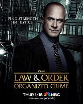 法律与秩序：组织犯罪第4季